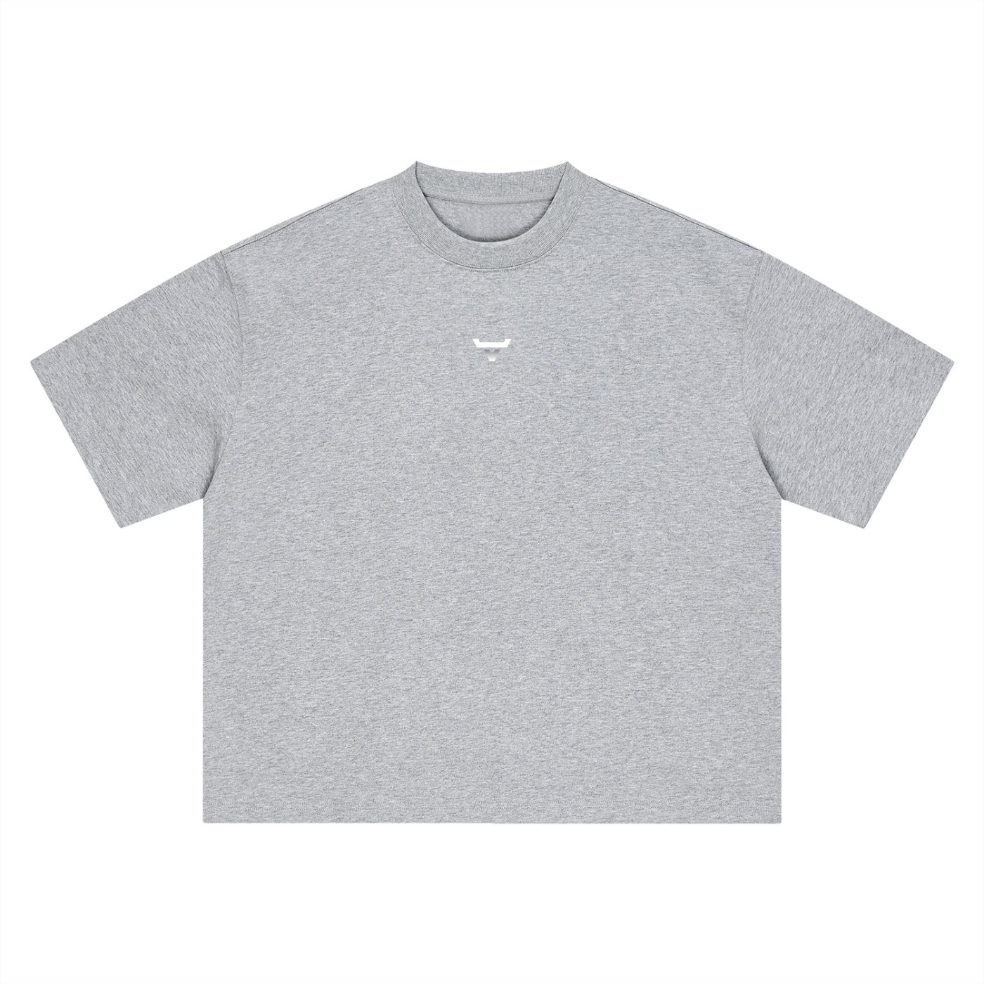 Boxy Oversized T-Shirt